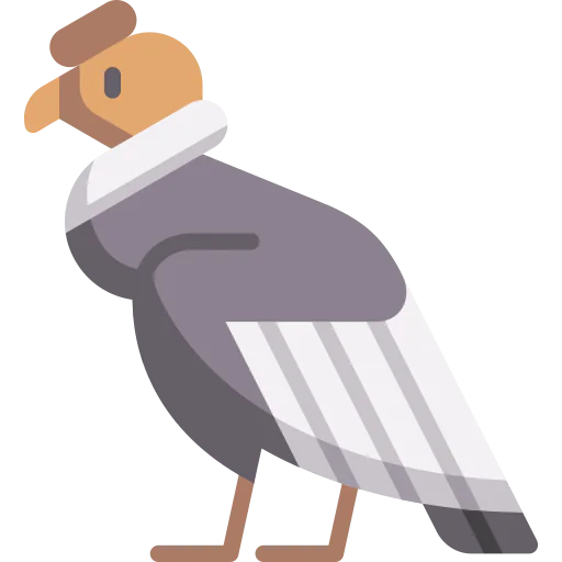 Condor icon