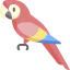 Macaw icon 64x64