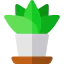 Plant icon 64x64