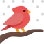Cardinal icon 64x64