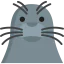 Seal icon 64x64