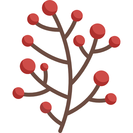 Berries icon