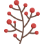 Berries icon 64x64