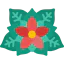 Poinsettia icon 64x64