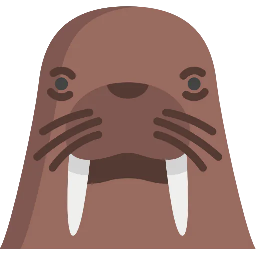 Walrus icon