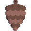 Pine cone icon 64x64
