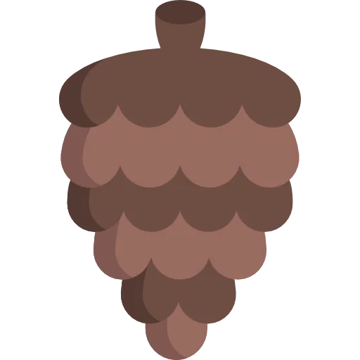 Pine cone icon