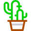 Cactus icon 64x64