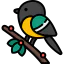 Bird icon 64x64