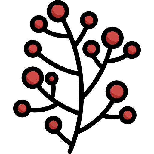 Berries icon