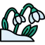 Snowdrop icon 64x64