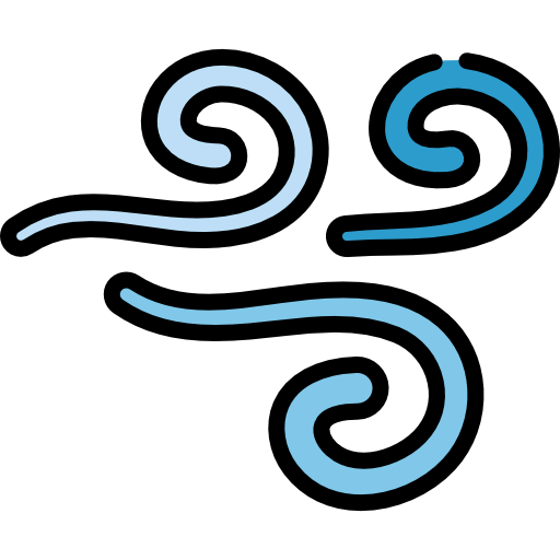 Blizzard icon