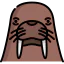 Walrus icon 64x64