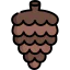 Pine cone icon 64x64
