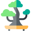 Bonsai icon 64x64