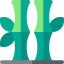 Bamboo icon 64x64
