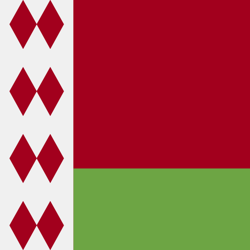 Belarus icon