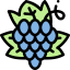Grapes icon 64x64