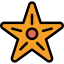 Starfish Symbol 64x64