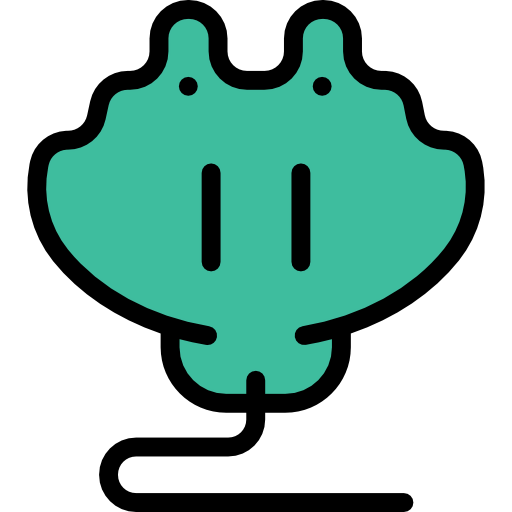 Ray icon