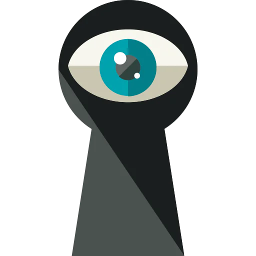 Spy icon