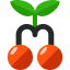 Вишня иконка 64x64