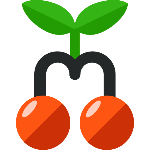 Cherries icon