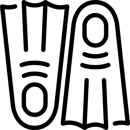 Flipper icon