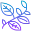 Leaves icon 64x64