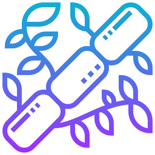 Bamboo icon