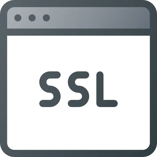 Ssl icon