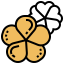 Plumeria icon 64x64
