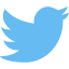 Twitter Symbol 64x64