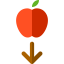Gravity icon 64x64