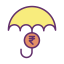 Rupee icon 64x64