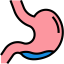 Stomach icon 64x64