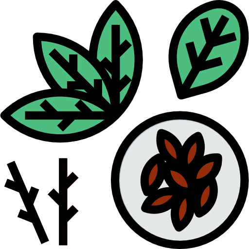 Seed icon