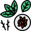 Seed icon 64x64