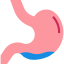 Stomach icon 64x64