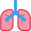 Lungs icon 64x64