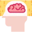 Brain icon 64x64
