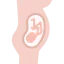 Pregnancy icon 64x64