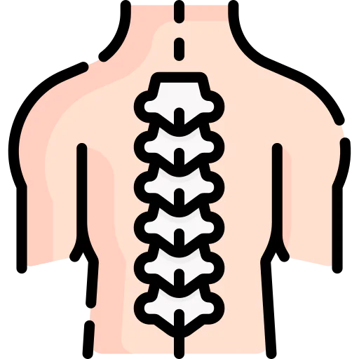 Spinal column icon