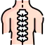 Spinal column 图标 64x64