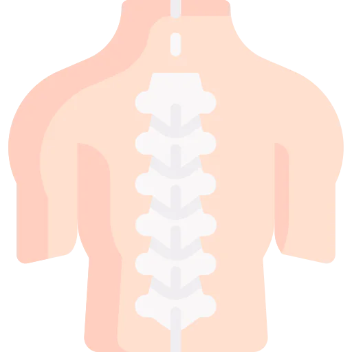 Spinal column icon