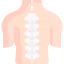 Spinal column 图标 64x64
