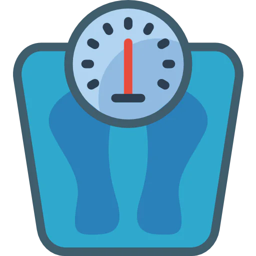 Scale icon