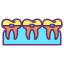 Braces icon 64x64