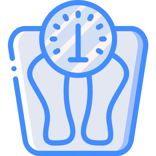 Scale icon