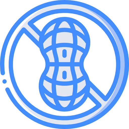 Nut icon